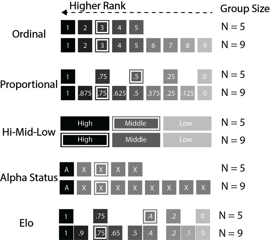Visualization of the differences between five different rank metrics as a function of group size. Darker shading represents higher rank and thus greater competitive advantage. Boxes with an inner white rectangle identify the position of individuals ranked 3rd in every group. Using ordinal rank posits that being ranked 3rd confers the same competitive advantage regardless of group size. Using proportional rank posits that being ranked 3rd in a group of 9 (proportional rank = 0.75) represents a functionally higher rank than being ranked 3 in a group of 5 (proportional rank = 0.5). Categorical ranks (high-middle-low and alpha status) posit that individuals within rank categories have the same competitive advantage. High-middle-low places individuals of rank 3 with middle-ranked individuals in a group of 5, and with high-ranked individuals in a group of 9; alpha status places individuals of rank 3 in the same non-alpha category regardless of group size. Elo rating assumes that the differences in competitive advantage between adjacently-ordered individuals are not necessarily equal. Here, we give two examples (out of infinite possibilities) of Elo ratings in groups of 5 and 9.