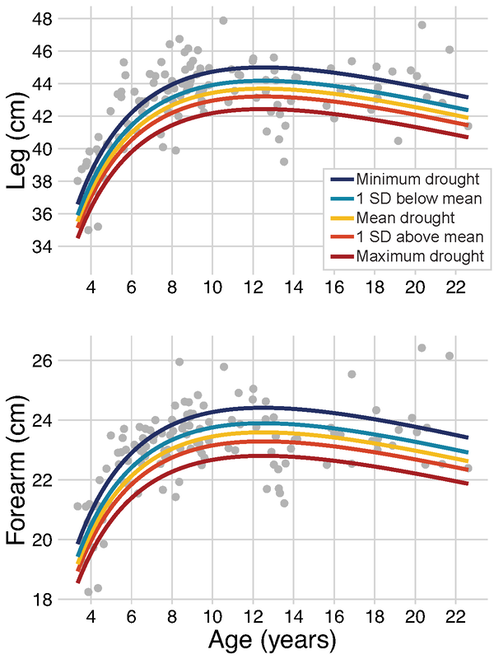 A plot showing Age on the x-axis and Shoulder-Rump length on the y-axis. Each point is a baboon, and there are error bars around each point. Body size increases quickly until age 8 or so, then growth slows.