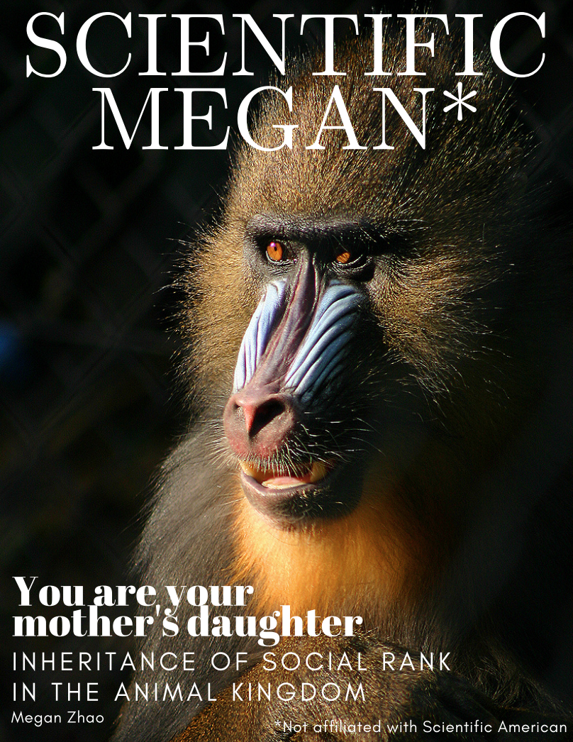Magazine cover: Scientific Megan with dramatic photo of a mandrill