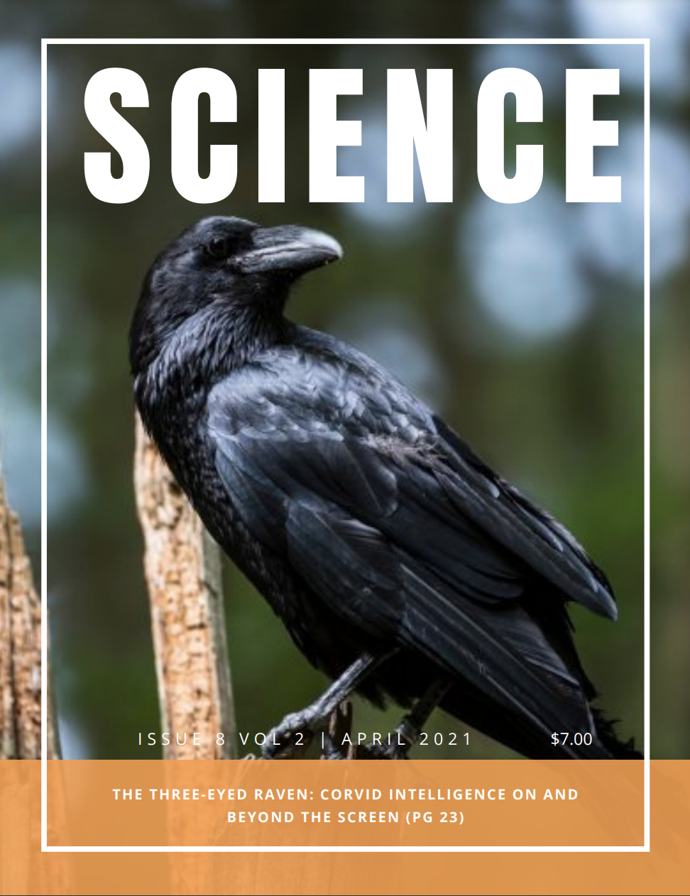 Magazing cover: Three-eyed raven with a photo of a raven